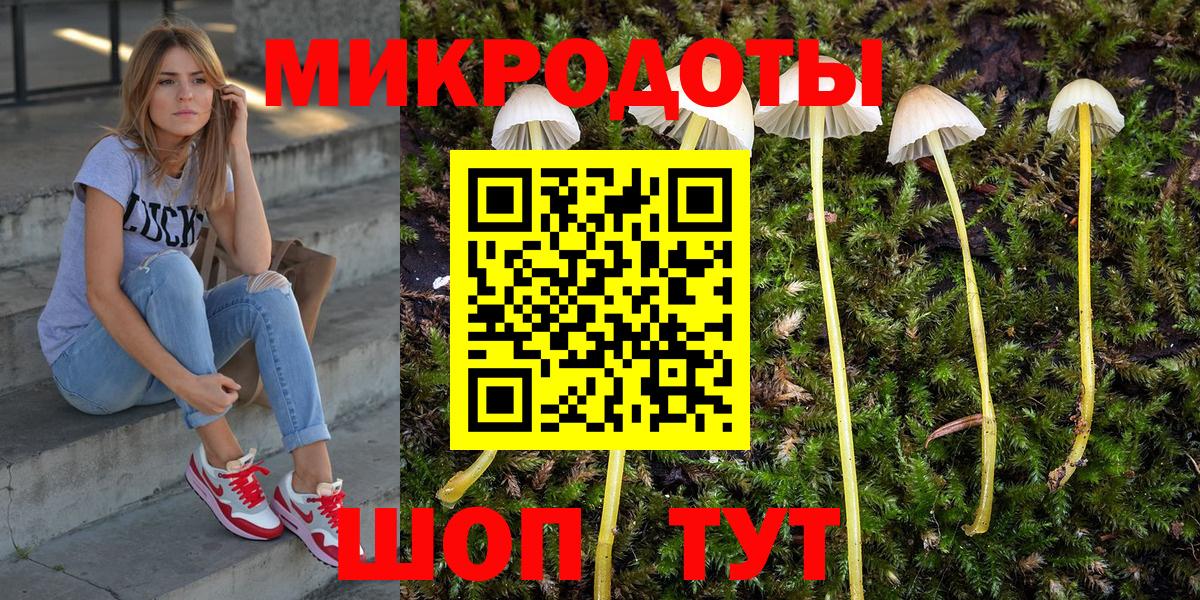 Галлюциногенные грибы Psilocybine cubensis  Вход с VPN  Галлюциногенные грибы ЛСД  Красный Сулин 